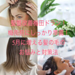 髪質改善梅田ドラン！梅雨前にしっかり準備！5月に増える髪の毛のお悩みと対策法