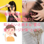 髪質改善梅田ドラン！汗で髪が傷む？知らないと損する“夏の髪ダメージ対策”とは？