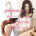 髪質改善梅田ドラン！春は“ベタつくのにパサつく”髪の矛盾、その正体とは？