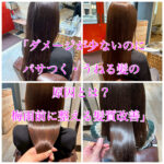 「ダメージが少ないのにパサつく・うねる髪の原因とは？梅雨前に整える髪質改善」