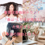 髪質改善梅田ドラン！「春は“くせ毛が悪化した気がする”本当の理由とは？」
