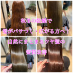 秋冬の乾燥で髪がパサつく・広がる方へ｜自然にまとまるツヤ髪の髪質改善